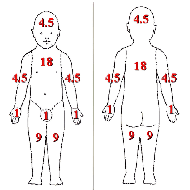 SCORAD Diagram